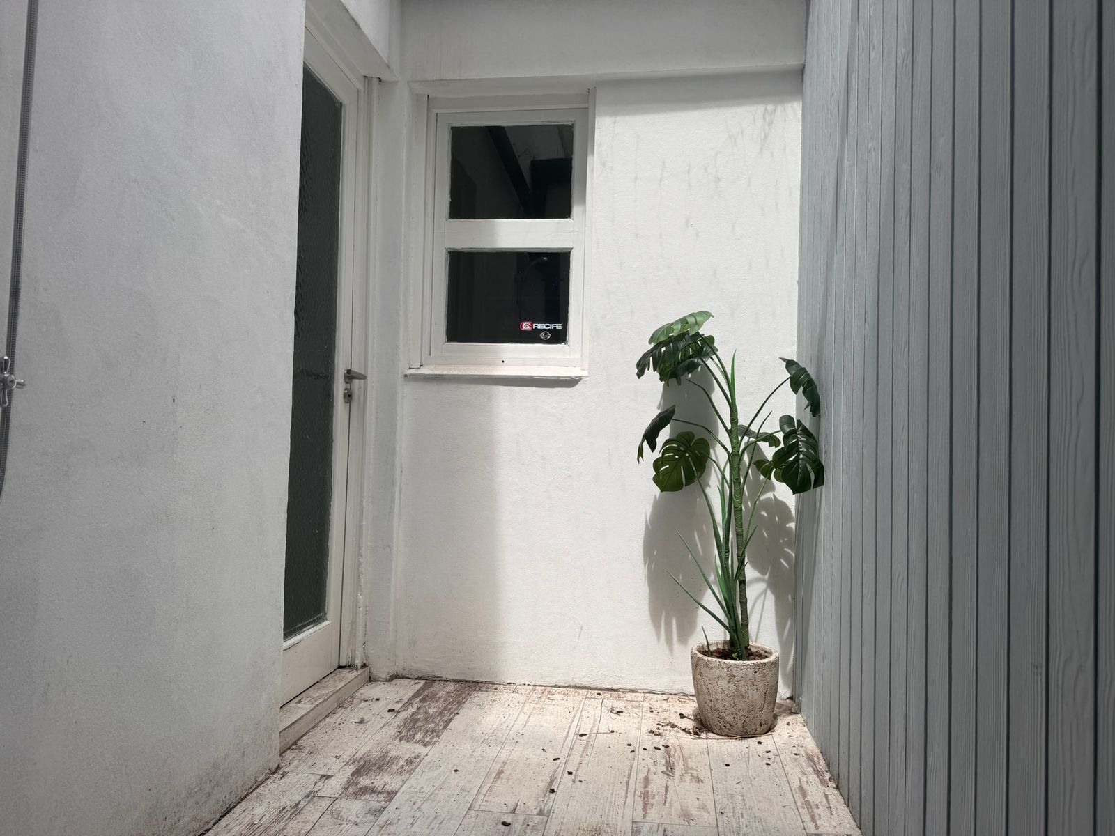 Foto de Fernando M Beltran(8)